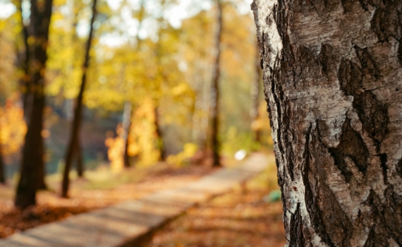 Тамара Глоба дала прогноз на ноябрь-25: выдержат не все. Кому — подвох судьбы, а кого ждет удача