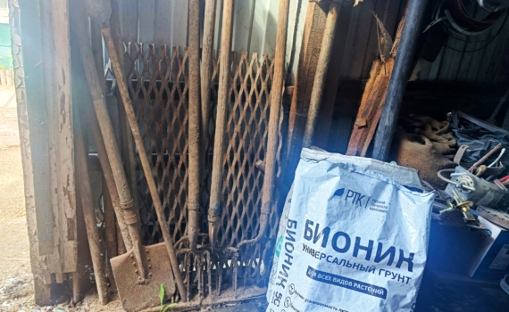 Лопату можно отложить: когда осенняя перекопка приносит больше вреда, чем пользы Лопату можно отложить: когда осенняя перекопка приносит больше вреда, чем пользы